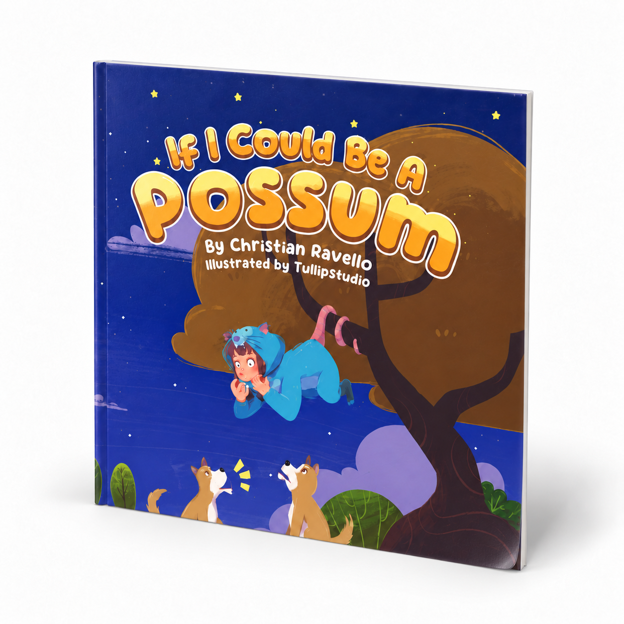 3D paperback mockup of If I Could Be a Possum by Christian Ravello
